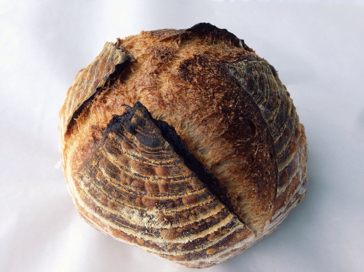 Sourdough baked at home. Source: DWD.